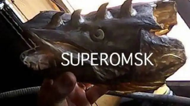 Житель Омской области поймал щук со странной аномалией