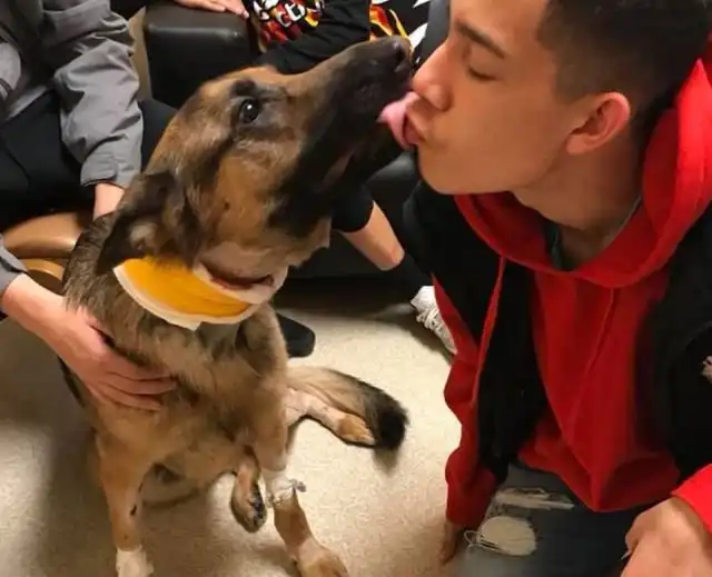 Верный защитник из городка Де-Мойна