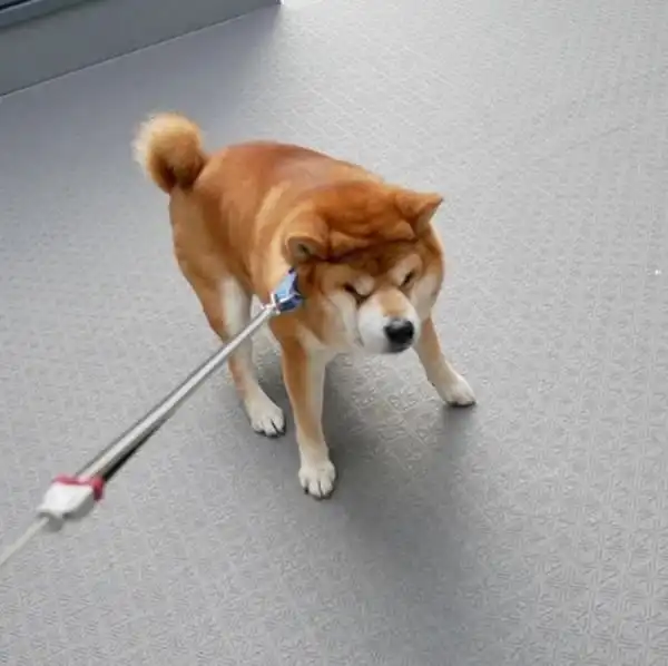 Символ категорического отказа