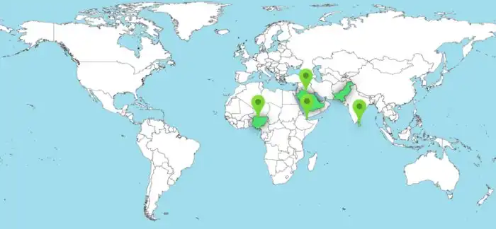 Азиатская экспансия: военные базы стран Азии за рубежом