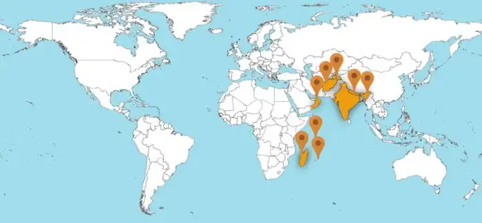 Азиатская экспансия: военные базы стран Азии за рубежом