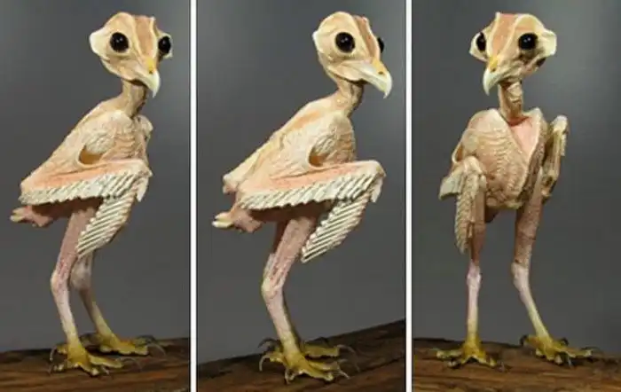 Животные, которые совсем не похожи на своих собратьев