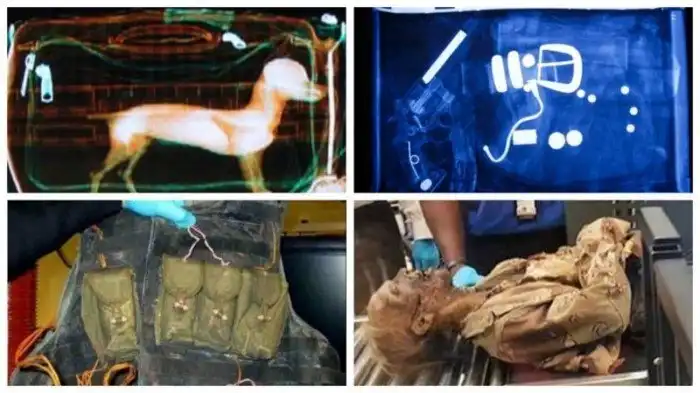 15 самых странных находок службы безопасности в аэропортах