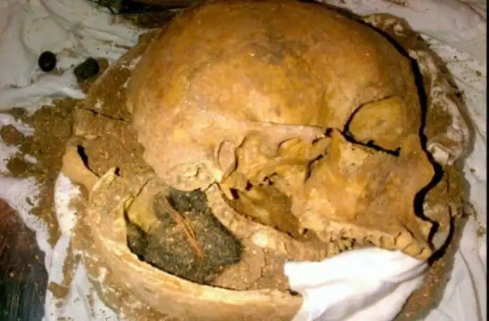 15 самых странных находок службы безопасности в аэропортах