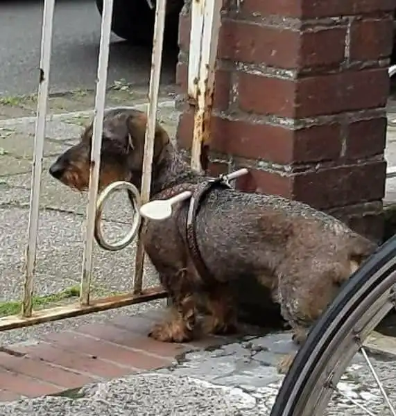 15 бытовых гениев, которые точно заслуживают Нобелевскую премию