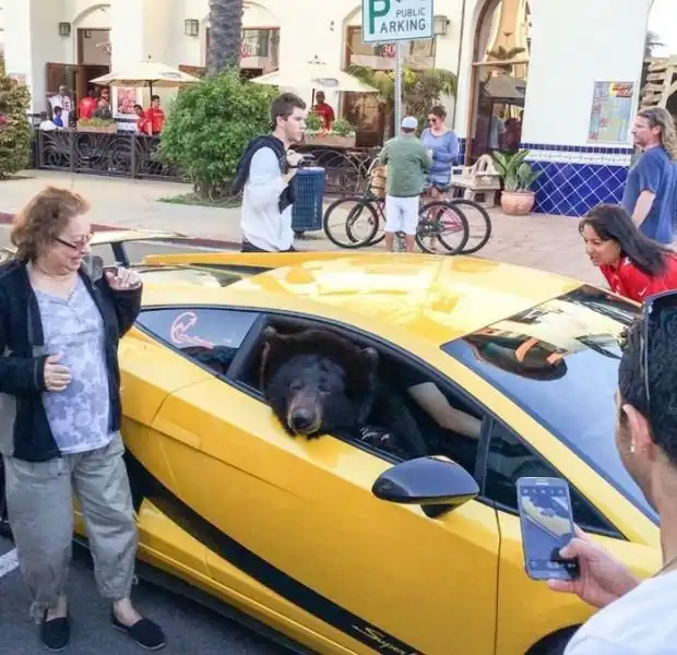 Атмосферные фото