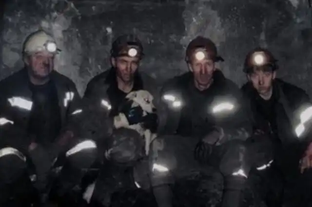 Памятник собаке-шахтеру