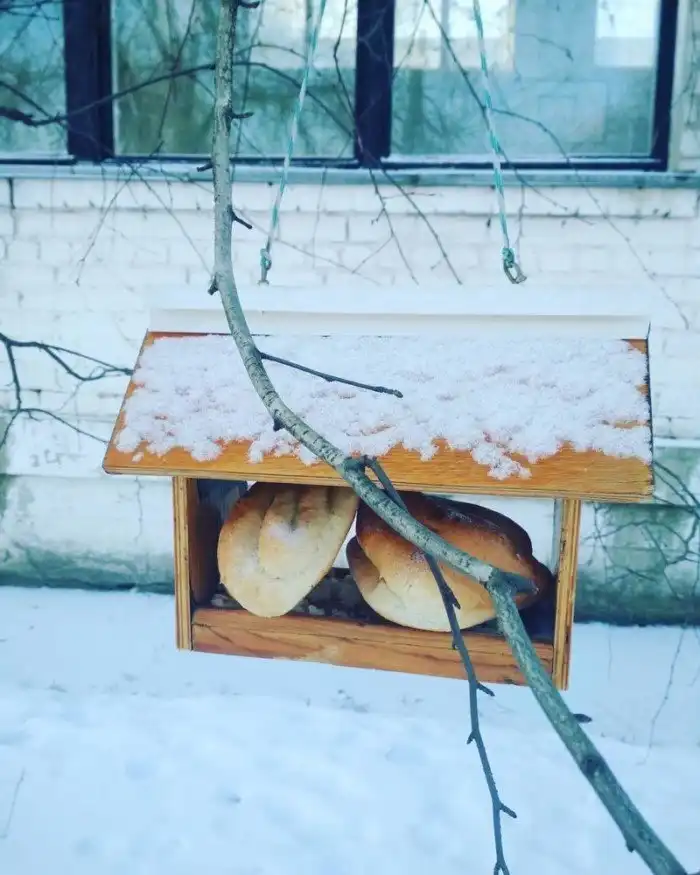 Аттракцион невиданной щедрости объявляется открытым