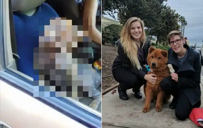 Спасение еще одной жизни