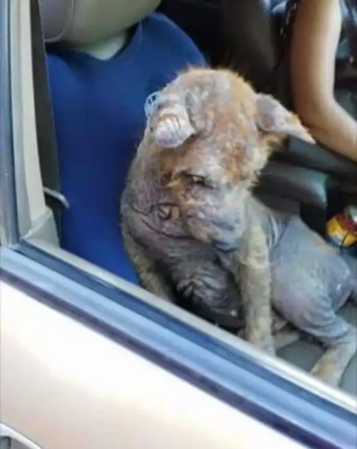 Спасение еще одной жизни