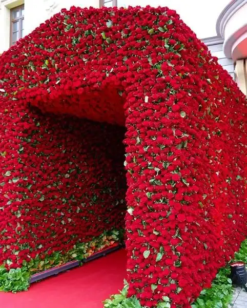 24 удивительных мест, которые прекрасны и смешны одновременно