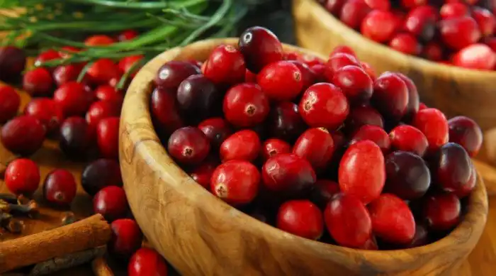 Польза клюквы для организма