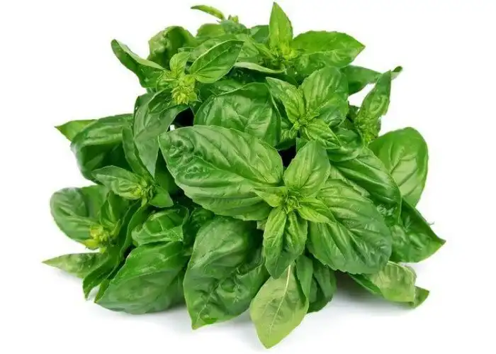 Самые эффективные способы избавления от изжоги