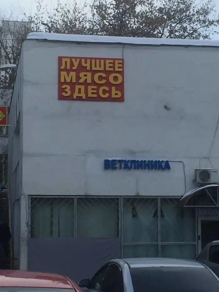 Порция чёрного юмора, которая вообще не должна была появиться на Креизи