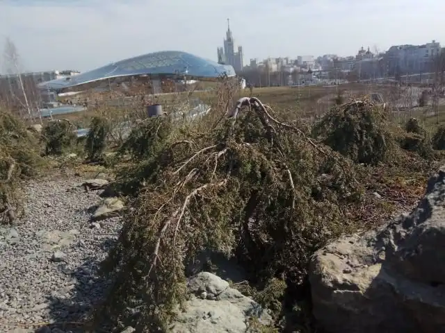 Как выглядит парк «Зарядье» сегодня