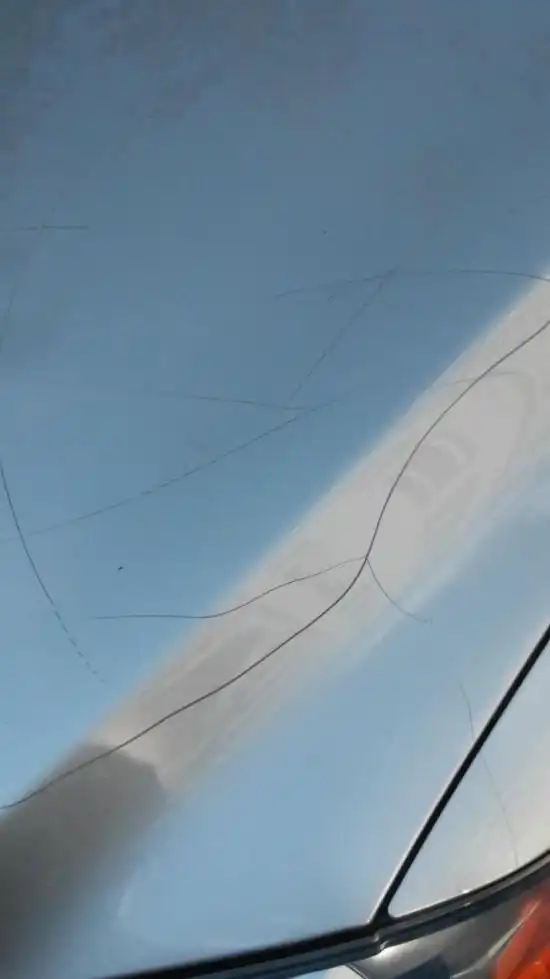 "Народные мстители" наказали владельца авто за громкую сигнализацию