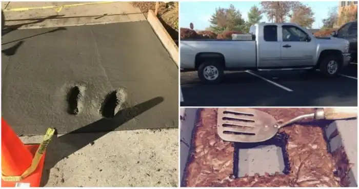 16 "ужасных" проступков, совершенных средь бела дня