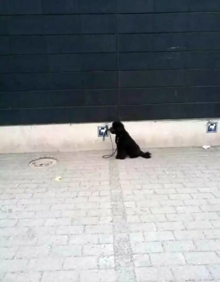 10 вещей, типичных только для Финляндии