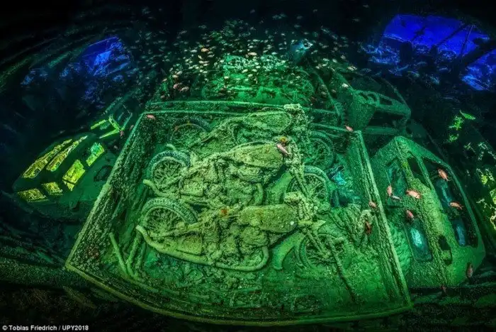 Лучшие подводные снимки с конкурса Underwater Photographer of the Year 2018