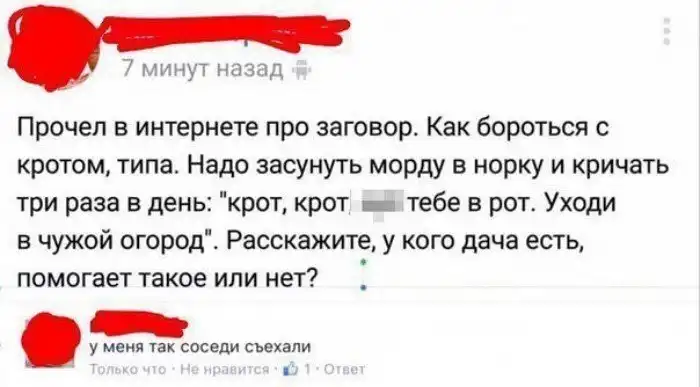 Сумасшедший отжиг на даче, который не может предложить ни один курорт мира