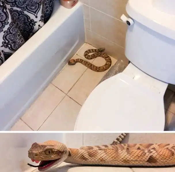 Креативные шутки и розыгрыши