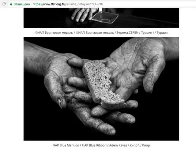 Как победить в фотоконкурсе с ворованным снимком