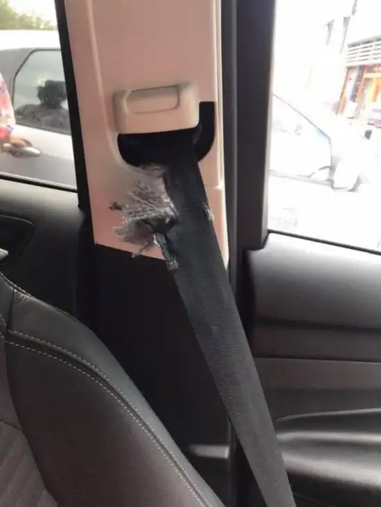 Хомяк выбрался из коробки и мстит хозяйке, уничтожая ее автомобиль