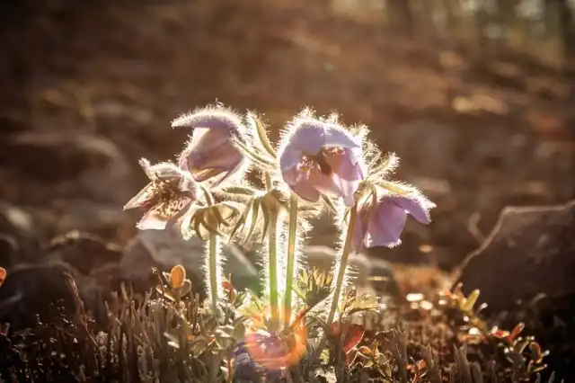 На "поиски зимы" жарким летом в Якутии