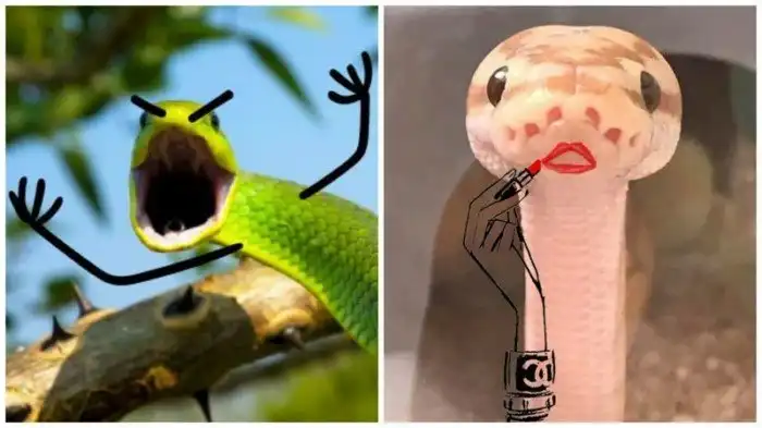 Конкурс на самую смешную картинку про ползучих гадов