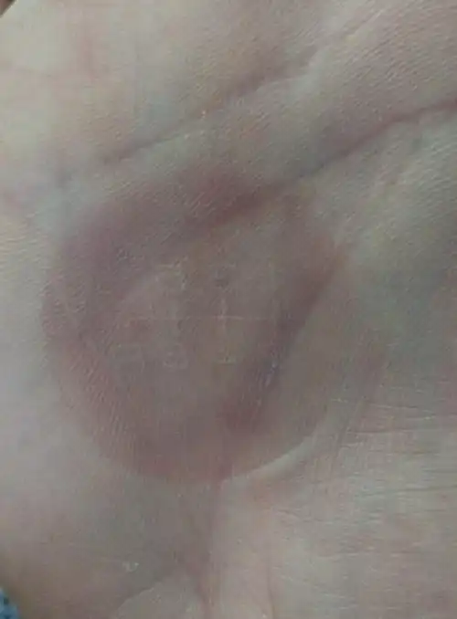 Когда машина простояла целый день под палящим солнцем