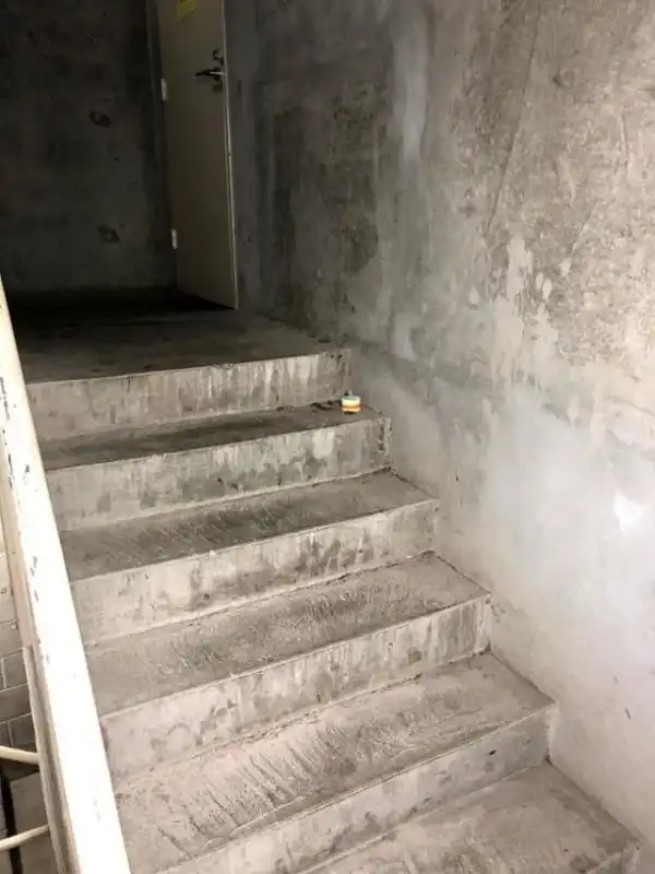 История одного мертвого таракан на лестнице