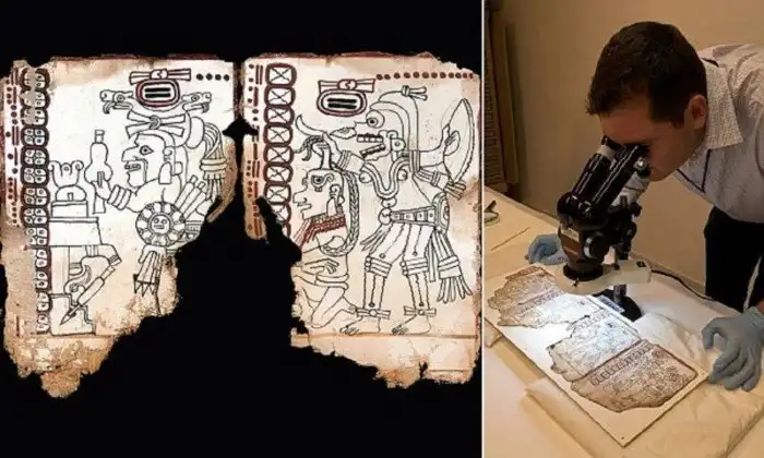 Мексиканские эксперты подтвердили подлинность календаря майя тысячелетней давности