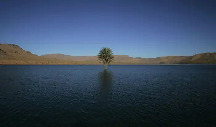 Сахара 50 веков назад