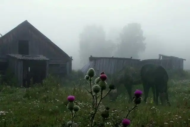 Настоящая российская глубинка