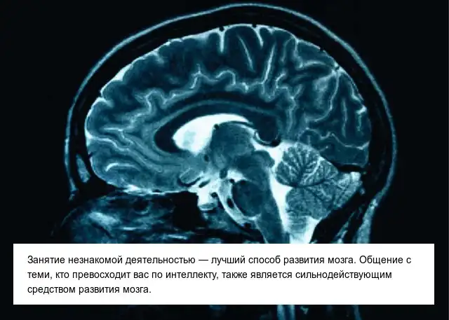 Интересные факты обо всем на свете