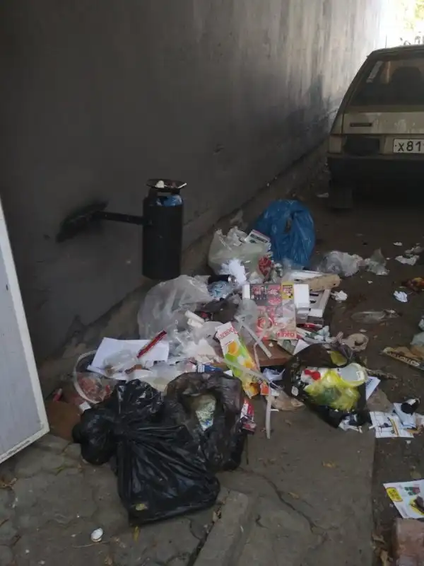 Отличный способ борьбы с "соседями-свиньями"