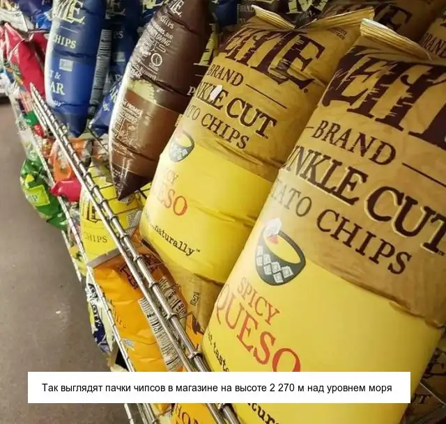 Интересно обо всем на свете