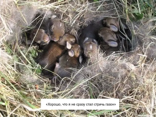 Находки, сделанные в нужное время и в нужном месте