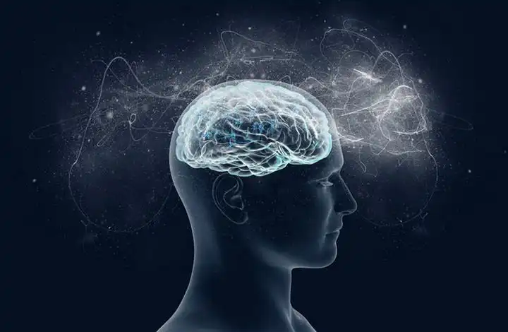 7 малоизвестных необычных фактов о мозге