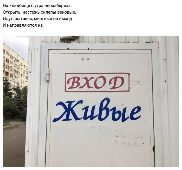 Рифмы обо всем на свете