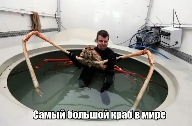 Мир никогда не прекратит удивлять нас