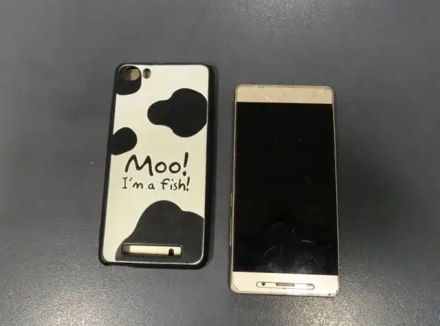 Хабаровские таможенники задержали китайца, который провозил контрабанду внутри смартфона