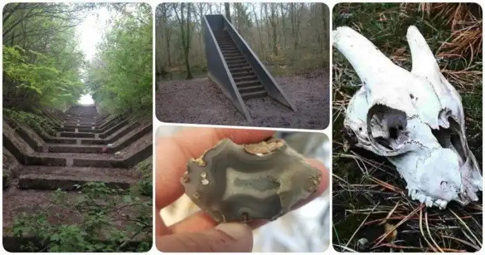 19 таинственных находок, который люди внезапно сделали в лесу