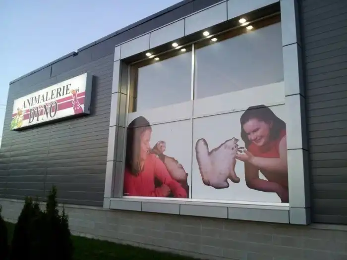 15 раз, когда мастерам фотошопа практически удалось всех обмануть