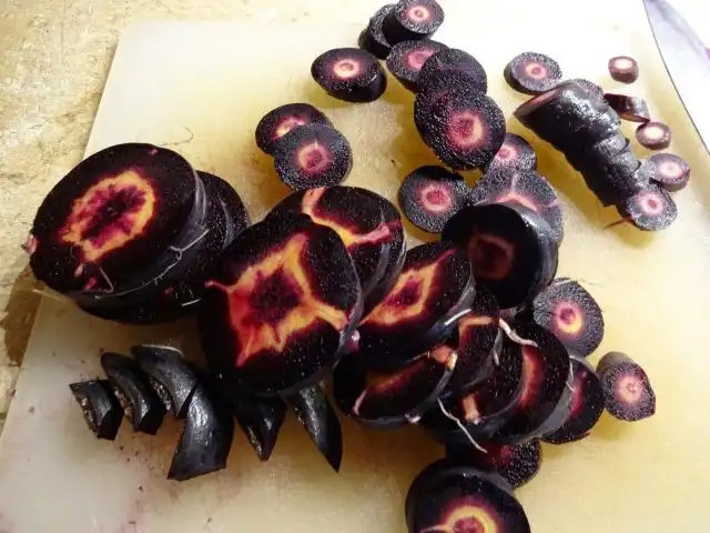 Что вы видите на этой фотографии?