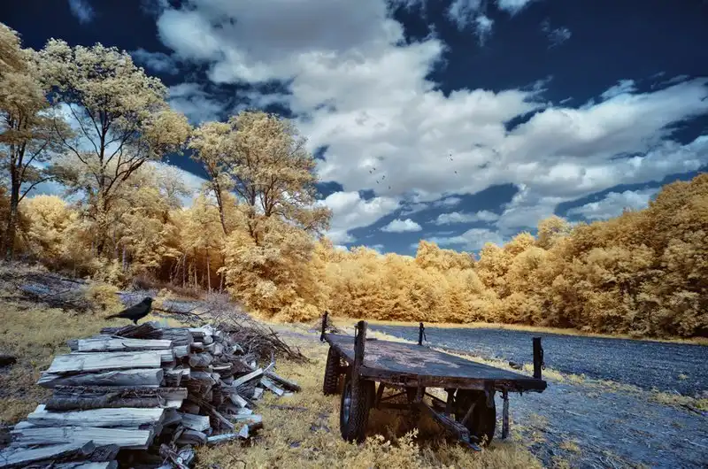 Инфракрасные фотографии, на которых привычные вещи предстают в непривычном виде