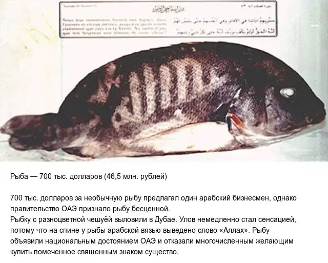 Баснословно дорогие вещи, которые смогут вас удивить