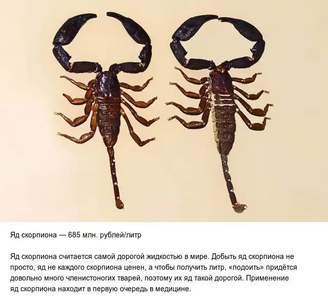 Баснословно дорогие вещи, которые смогут вас удивить