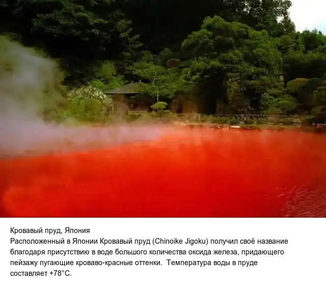 Интересно обо всем на свете