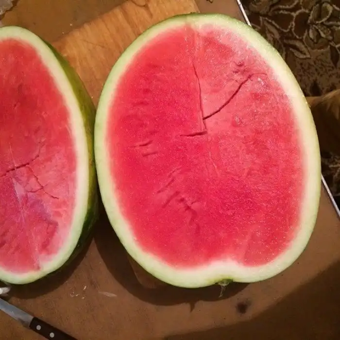 15 фотодоказательств из серии: "Тебе все равно никто не поверит!"